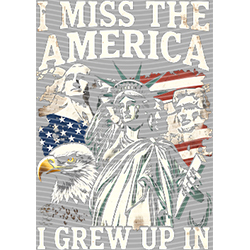 USA-MG 3767